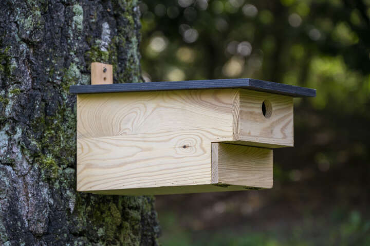 dobar Großer Höhlenbrüternistkasten mit Räuberschutz